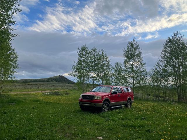 Aspens at the turnoff