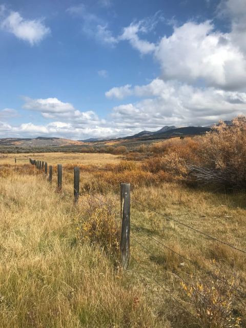 Fence line, October