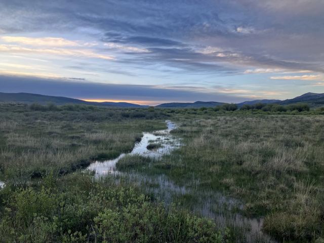 The stream at dusk