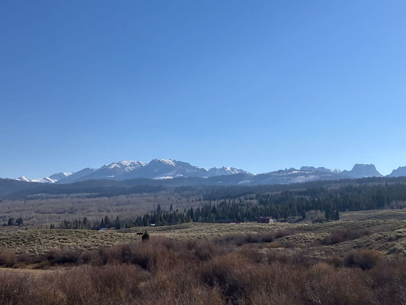 A moose in the sage below the snow-covered Wind River Range